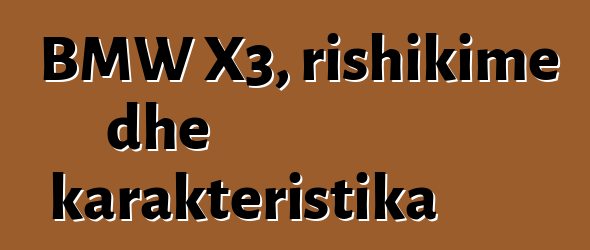 BMW X3, rishikime dhe karakteristika