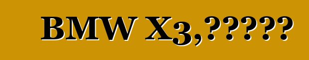 BMW X3，評論和特性