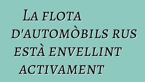 La flota d'automòbils rus està envellint activament