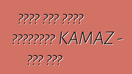 የነዳጅ ፍጆታ እንዴት እንደሚቀንስ። KAMAZ - ቀላል ህጎች