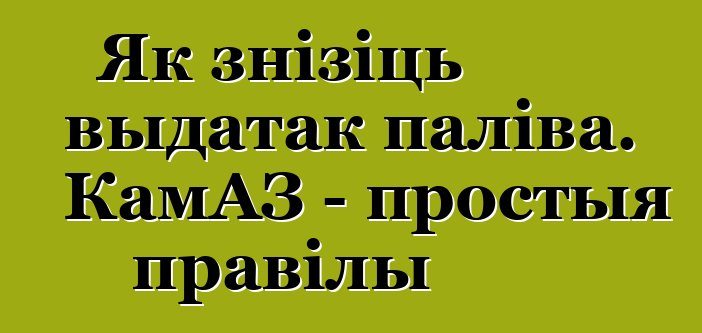 Як знізіць выдатак паліва. КамАЗ - простыя правілы