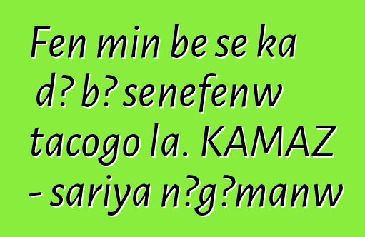 Fɛn min bɛ se ka dɔ bɔ sɛnɛfɛnw tacogo la. KAMAZ - sariya nɔgɔmanw