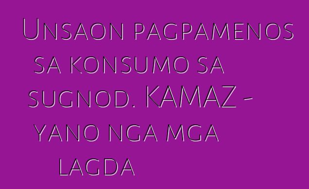 Unsaon pagpamenos sa konsumo sa sugnod. KAMAZ - yano nga mga lagda