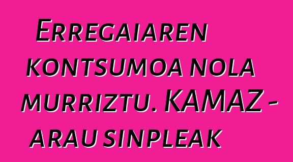Erregaiaren kontsumoa nola murriztu. KAMAZ - arau sinpleak