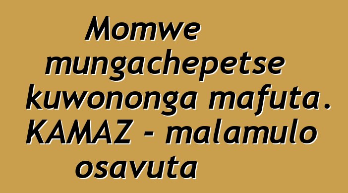 Momwe mungachepetse kuwononga mafuta. KAMAZ - malamulo osavuta