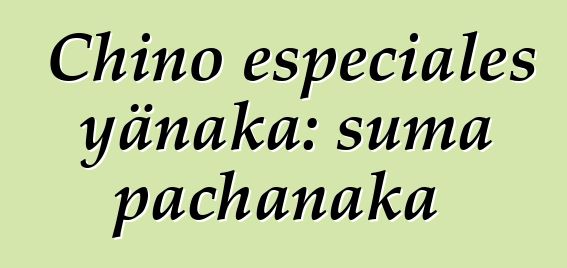 Chino especiales yänaka: suma pachanaka