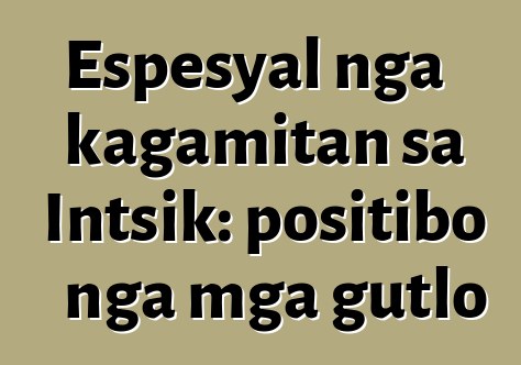 Espesyal nga kagamitan sa Intsik: positibo nga mga gutlo