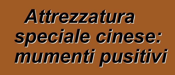 Attrezzatura speciale cinese: mumenti pusitivi