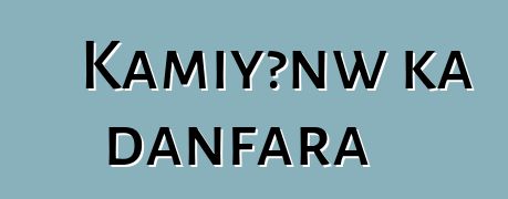 Kamiyɔnw ka danfara