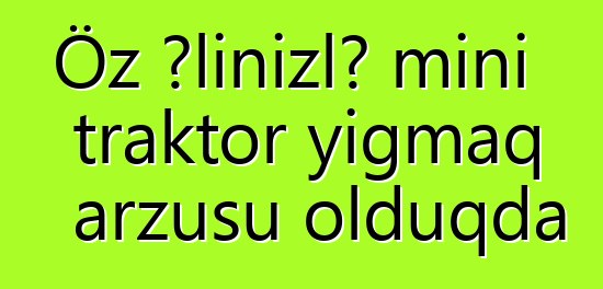 Öz əlinizlə mini traktor yığmaq arzusu olduqda
