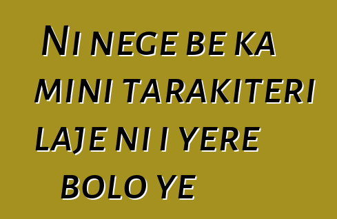 Ni nege bɛ ka mini tarakitɛri lajɛ ni i yɛrɛ bolo ye