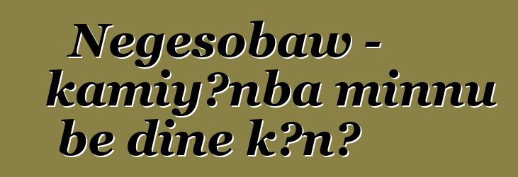 Nɛgɛsobaw - kamiyɔnba minnu bɛ diɲɛ kɔnɔ