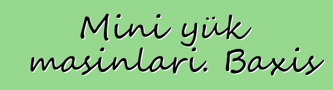 Mini yük maşınları. Baxış