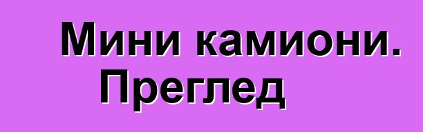 Мини камиони. Преглед