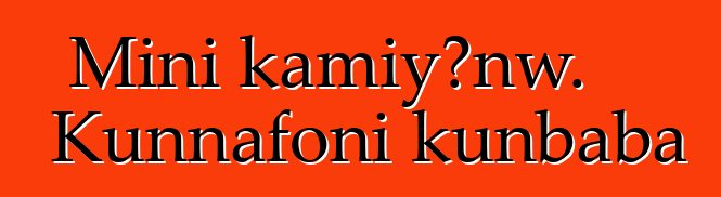 Mini kamiyɔnw. Kunnafoni kunbaba