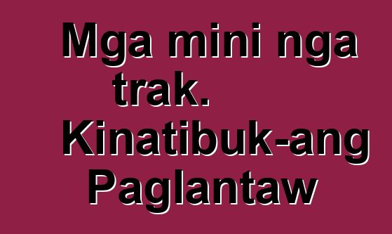 Mga mini nga trak. Kinatibuk-ang Paglantaw