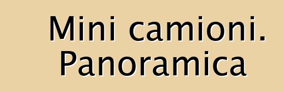 Mini camioni. Panoramica