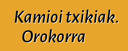 Kamioi txikiak. Orokorra