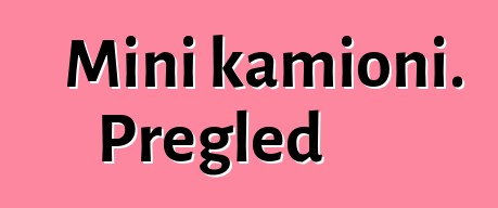 Mini kamioni. Pregled