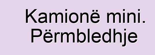 Kamionë mini. Përmbledhje