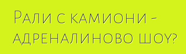 Рали с камиони - адреналиново шоу?