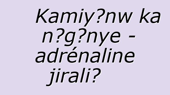 Kamiyɔnw ka ɲɔgɔnye - adrénaline jirali?