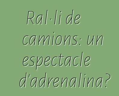 Ral·li de camions: un espectacle d'adrenalina?