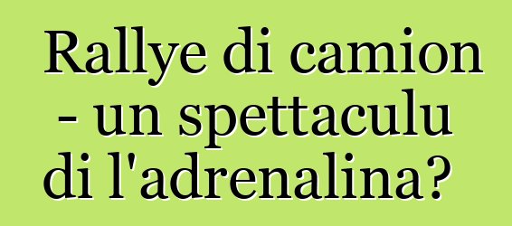 Rallye di camion - un spettaculu di l'adrenalina?