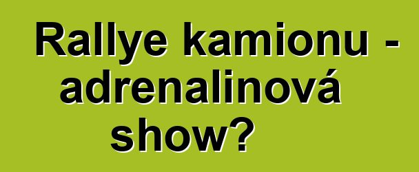Rallye kamionů – adrenalinová show?