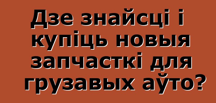 Дзе знайсці і купіць новыя запчасткі для грузавых аўто?