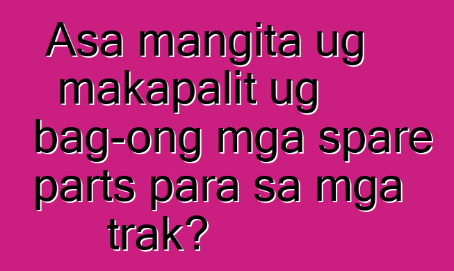 Asa mangita ug makapalit ug bag-ong mga spare parts para sa mga trak?