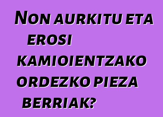 Non aurkitu eta erosi kamioientzako ordezko pieza berriak?