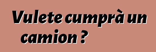 Vulete cumprà un camion ?