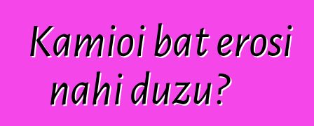 Kamioi bat erosi nahi duzu?