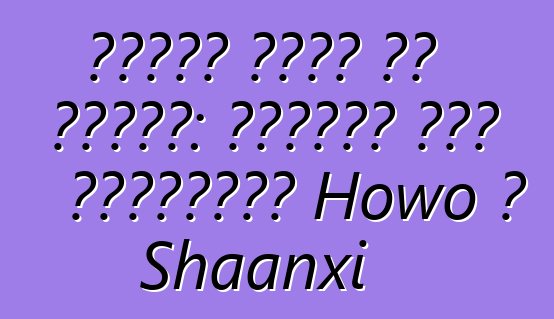 معدات خاصة من الصين: شاحنات خلط الخرسانة Howo و Shaanxi