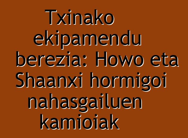 Txinako ekipamendu berezia: Howo eta Shaanxi hormigoi nahasgailuen kamioiak