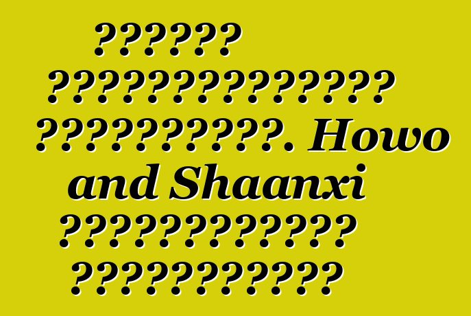 Հատուկ սարքավորումներ Չինաստանից. Howo and Shaanxi բետոնախառնիչ բեռնատարներ