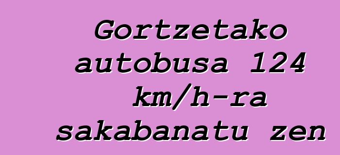 Gortzetako autobusa 124 km/h-ra sakabanatu zen