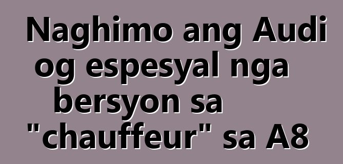 Naghimo ang Audi og espesyal nga bersyon sa "chauffeur" sa A8