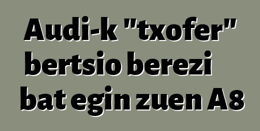 Audi-k "txofer" bertsio berezi bat egin zuen A8