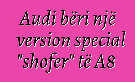 Audi bëri një version special "shofer" të A8