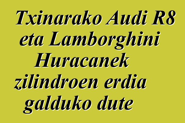 Txinarako Audi R8 eta Lamborghini Huracanek zilindroen erdia galduko dute