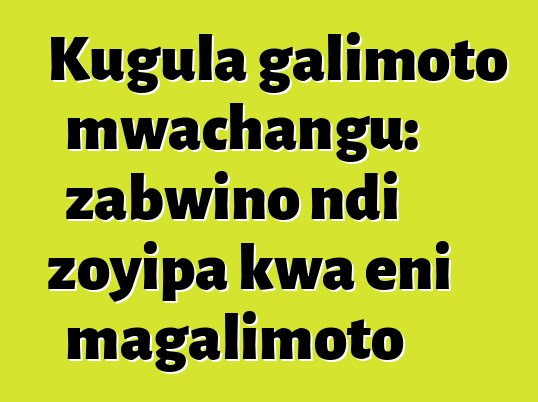Kugula galimoto mwachangu: zabwino ndi zoyipa kwa eni magalimoto