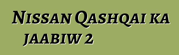 Nissan Qashqai ka jaabiw 2