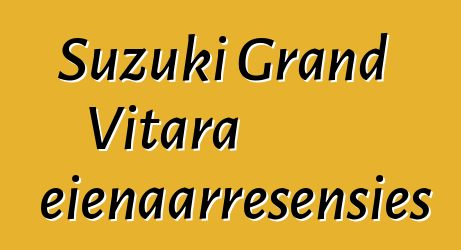 Suzuki Grand Vitara eienaarresensies