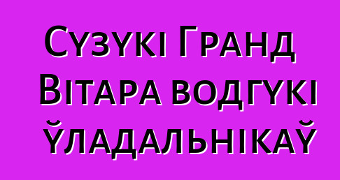 Сузукі Гранд Вітара водгукі ўладальнікаў