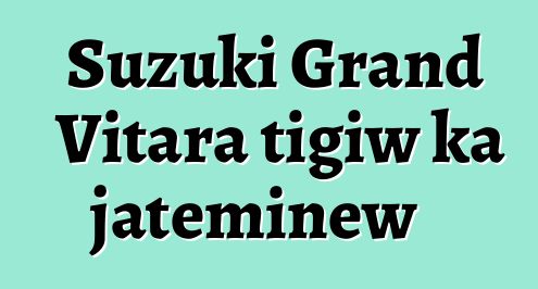 Suzuki Grand Vitara tigiw ka jateminɛw