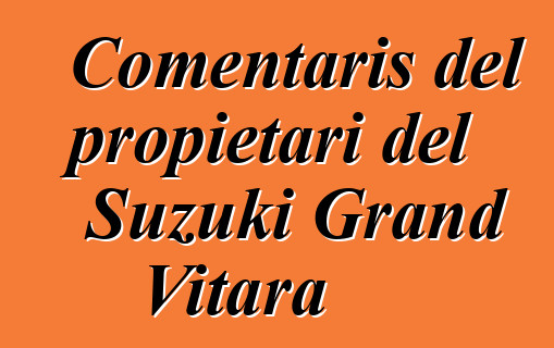 Comentaris del propietari del Suzuki Grand Vitara