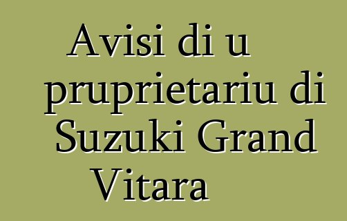 Avisi di u pruprietariu di Suzuki Grand Vitara