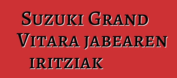 Suzuki Grand Vitara jabearen iritziak